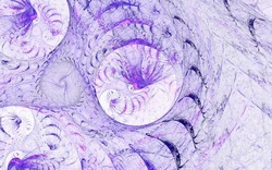 2014 04 26 Evening Plastic 31-white.jpg